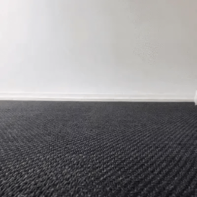PawPlay Magic Ball