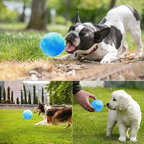 PawPlay Magic Ball