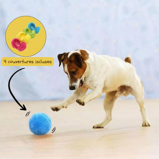 PawPlay Magic Ball