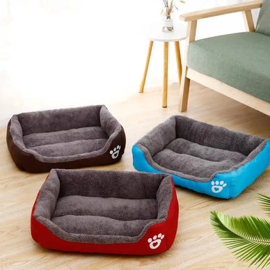 Transform Your Pet’s Rest into Pure Bliss